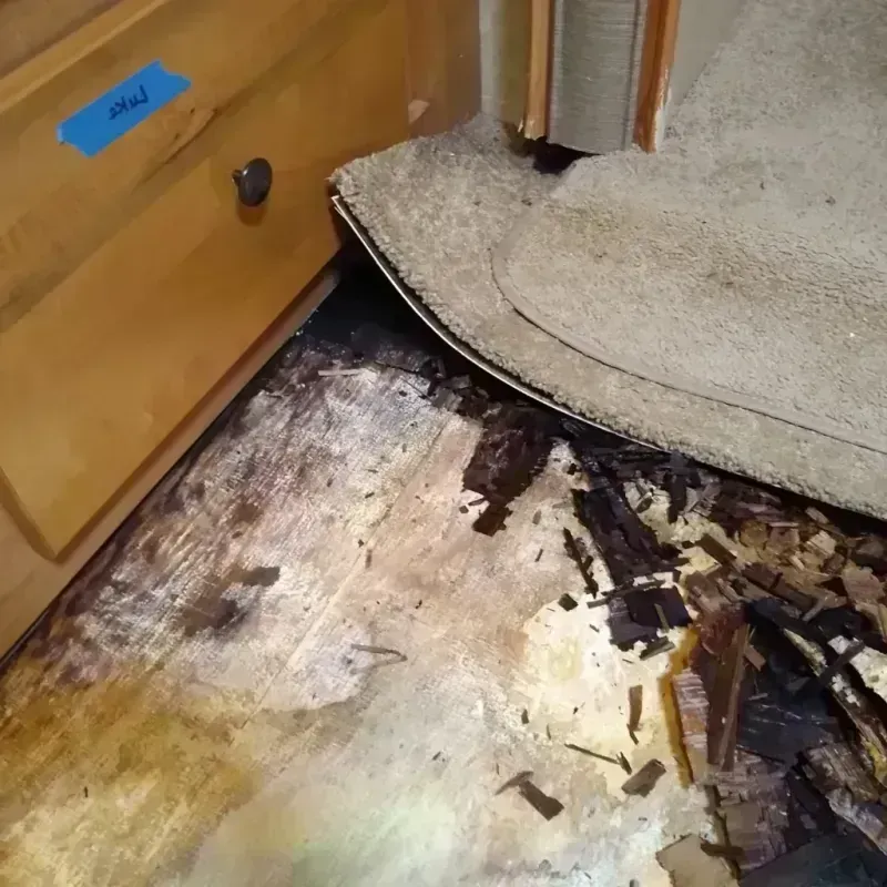 Best Wood Floor Water Damage Service in Fayette County, AL